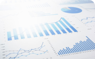 BRSA Unconsolidated Financial Reports